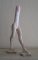 Don Juan 2009 H: 45 cm