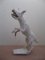Chien d'Acteon /Acteons hond