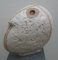 Cyclope 2013 H:30 cm