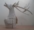 Acteon/Cerf/Hert/Stag